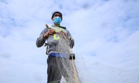 Giăng lưới kéo cả tấn cá gần bờ, ngư dân kiếm tiền triệu mỗi ngày
