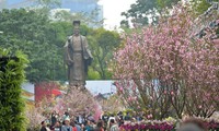 Tổ chức lựa chọn Đại sứ thiện chí hoa anh đào 2019 trong khuôn khổ Lễ hội hoa anh đào Nhật Bản-Hà Nội 2019