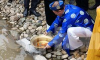Thả cá chép ở khu di sản Hoàng thành Thăng Long