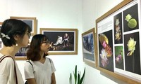 Festival Nhiếp ảnh trẻ năm 2021 
