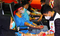Đông đảo tình nguyện viên sôi nổi hiến máu Chủ nhật Đỏ tại Bắc Ninh