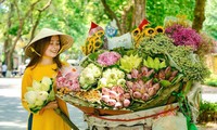 Bộ ảnh trong veo vương màu nắng Hà Nội của cô gái 9x làm dân mạng mê mẩn