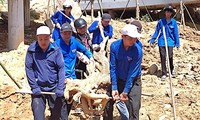 Đoàn viên thanh niên ở Quảng Nam tham gia khắc phục hậu quả bão số 4