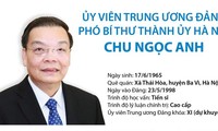 Chân dung tân Phó Bí thư Thành ủy Hà Nội Chu Ngọc Anh