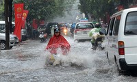 Hà Nội ứng phó với ngập lụt, cây đổ trước bão số 3