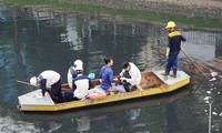  Đại diện Viện Công nghệ môi trường lấy mẫu nước sông tô Lịch để kiểm tra sáng 20/5