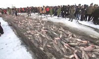 Độc đáo lễ hội khoan băng bắt cá ở Trung Quốc