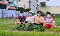 “Vườn rau nghĩa tình mùa dịch” của bốn chàng sinh viên Bách khoa