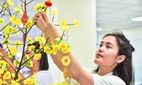 Đoàn viên, thanh niên Bệnh viện Quân y 175 trang trí góc Xuân, cùng bệnh nhân đón Tết