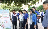 Thành Đoàn TP. HCM thăm, tặng quà các chiến sĩ tình nguyện &apos;Mùa Hè Xanh&apos; trên đảo Phú Quý 