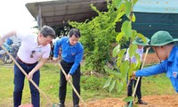 Chương trình ‘Triệu cây xanh – Vì một Việt Nam xanh’ năm 2023 đến tỉnh Long An 