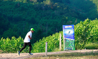 Tỉnh Đoàn Khánh Hòa phát động Giải Marathon và leo núi ‘Vì một môi trường xanh’