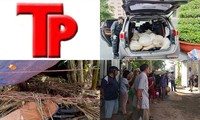 Bản tin Hình sự: Điều tra vụ người đàn ông giết anh họ, cứa cổ hàng xóm