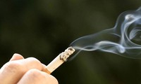 Không cấm hút thuốc trong trường ĐH,CĐ có khối tích trên 5.000 m3: Có trái Luật Giáo dục?