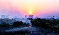 Hành vi đốt rơm rạ gây ô nhiễm môi trường có thể bị xử phạt. 