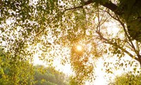 Các tỉnh miền Bắc hửng nắng trước khi đón một đợt mưa dông kéo dài. Ảnh minh họa.