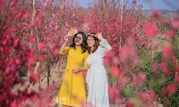 Dịp Tết nguyên đán, miền Bắc rét về đêm và sáng, trưa chiều hửng nắng.