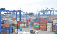 Đầu năm mới Canh Tý 2020 đã có 55 chuyến tàu cập cảng Tân Cảng - Cát Lái
