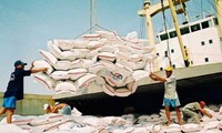 Ngày 21/4, mới chỉ có 17.000 tấn gạo/300.000 tấn gạo đăng ký tại Cục Hải quan TP.HCM được xuất khẩu. Ảnh minh họa. Nguồn: Internet
