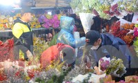 Chợ hoa đêm nhộn nhịp trước ngày Valentine dù mưa rét