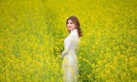 Nữ sinh Kinh Công đẹp dịu dàng giữa cánh đồng hoa cải vàng rực rỡ