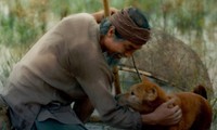 Còn chưa công chiếu, phim “Cậu vàng” có nguy cơ bị tẩy chay vì chê bai khán giả