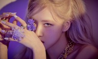 Vì sao Rosé chỉ hát tiếng Anh khi debut solo, chẳng lẽ không sợ làm mếch lòng fan Hàn?
