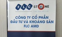 Thêm cổ phiếu nhóm FLC nhận &apos;án&apos; rời sàn