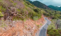 Bà Rịa-Vũng Tàu thu hồi hàng loạt dự án bất động sản chậm triển khai