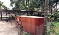 2 cây sưa sau khi chặt hạ thu được 31 khúc gỗ với đường kính lớn nhỏ khác nhau, được đưa toàn bộ vào chiếc container khóa chặt được rào kín bằng dây thép trước sân nhà văn hóa thôn. Ảnh: Laodong
