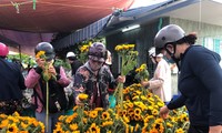 TPHCM: Chợ hoa Hồ Thị Kỷ &apos;xả hàng&apos; kéo khách