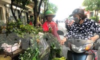 ‘Bán hết xe lá xông, kiếm được 500.000 đồng…’