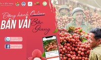 Chiến dịch tình nguyện &apos;đồng hành online - bán vải Bắc Giang&apos;