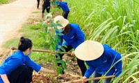 Đoàn viên thanh niên xã Tân Xuân (huyện Tân Kỳ, Nghệ An) thực hiện hàng cây xanh tuổi trẻ. Ảnh: Phương Nguyễn
