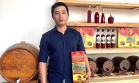 Khởi nghiệp với trái thanh long của chàng trai Bình Thuận