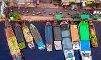 Chợ hoa&apos;trên bến dưới thuyền&apos; ngập tràn sắc xuân trước giờ khai mạc
