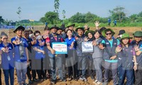 Du học sinh Malaysia cùng đoàn viên thanh niên TPHCM trồng cây, nạo vét kênh rạch 