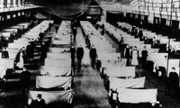 Vì sao đại dịch ‘cúm Tây Ban Nha’ giết chết hơn 50 triệu người?