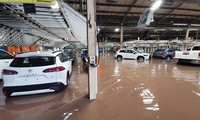 Nhà máy Toyota tại Nam Phi phải đóng cửa do mưa lớn