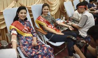 Hoa hậu Ngọc Hân, Á hậu Thanh Tú hiến máu tại Ngày Chủ Nhật Đỏ