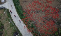 Tiền Phong Marathon 2023: Ngỡ ngàng với cung đường tuyệt đẹp ở Lai Châu 