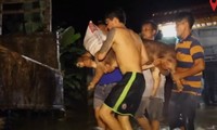 Người dân ở Đồng Nai chở lợn, bò chạy lũ trong đêm