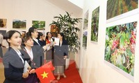Khai mạc Triển lãm ảnh &apos;Tình Hữu nghị Lào - Việt Nam đời đời bền vững&apos;