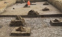 Phát hiện bãi cọc nghìn năm tuổi ở Hải Phòng