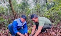 Thanh niên Pleiku và Công an tỉnh Gia Lai trồng hàng ngàn cây xanh