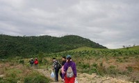 Khu vực lô đất được cấp cho nhiều người tại núi Hòn Dồ - Nha Trang. Ảnh CTV.