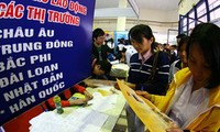 Cho vay XKLĐ tạo việc làm hơn 100 ngàn lao động
