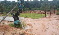 Khu đất hơn 2.000m2 thuộc rừng phòng hộ trên đảo bị san ủi, trồng cây lâu năm. Hiện thủ phạm đã bỏ trốn.