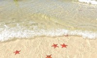 Tuyệt đối đừng làm điều này khi &quot;check-in&quot; tại vương quốc sao biển ở Phú Quốc