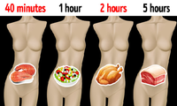 Đồ ăn sẽ nằm trong dạ dày của bạn bao lâu?